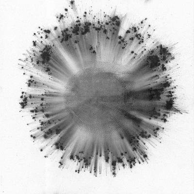 Trentemoeller - Obverse (2019)