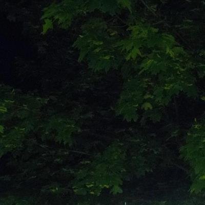 Fabian Kalker - Otr2019 Disambiguation (2019)