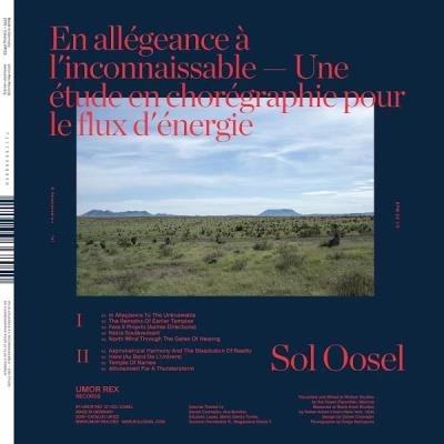 En allegeance a l'inconnaissable - Une etude en choregraphie pour le flux d'energie (2019)