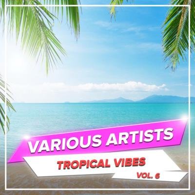 Tropical Vibes, Vol. 6 (2020)