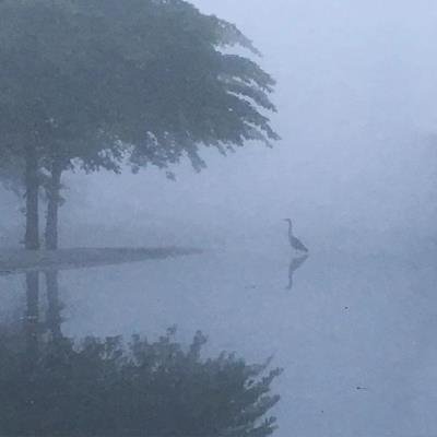 Seventh World - Seventh World (2020)