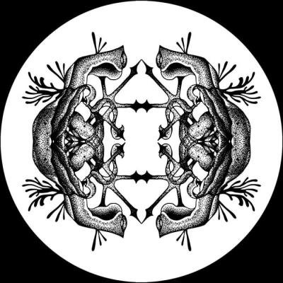 _asstnt & Roll Dann - Emergency Break (2021)