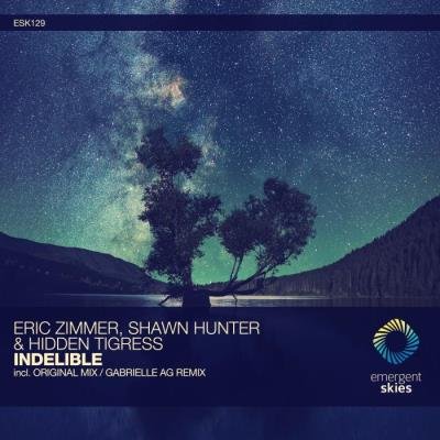 Eric Zimmer Vs. Hidden Tigress And Shawn Hunter - Indelible (2021)