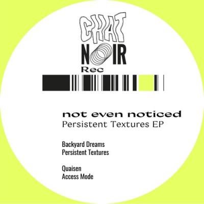 Not Even Noticed - Persistent Textures EP (2021)