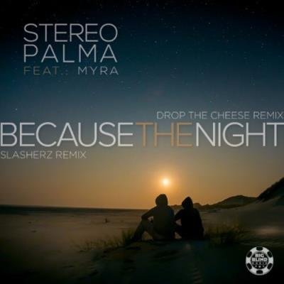 Stereo Palma feat Myra - Because the Night (Remixes) (2021)