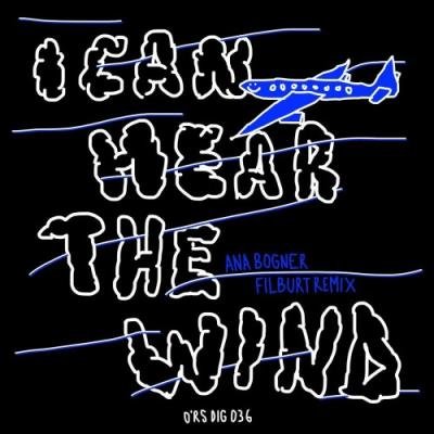 Ana Bogner - I Can Hear The Wind (Filburt Remix) (2021)