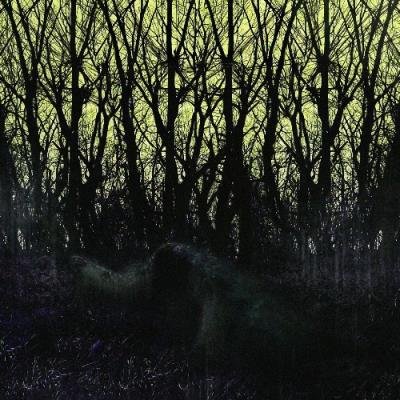 Metagnomist - Divorced From Humanity (2021)