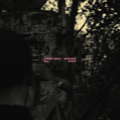 Johannes Albert - Gleis 1: Lichtenberg Remixes (2019)