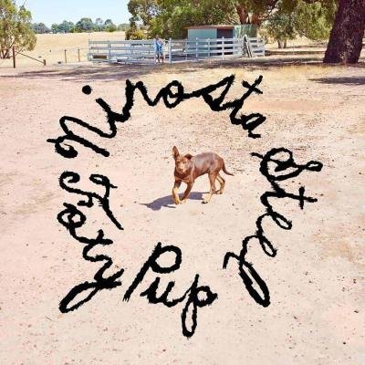 Nirosta Steel - Foxy Pup (2019)