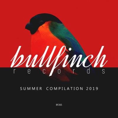 Bullfinch Summer 2019 Compilation (2019)