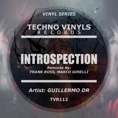 Guillermo DR - Introspection (2019)