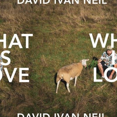 David Ivan Neil - What Is Love (2019)