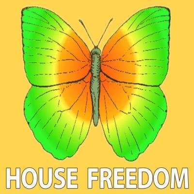 Tech Flourishing (2019)