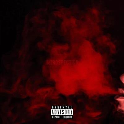 Nico - Introspection (2019)