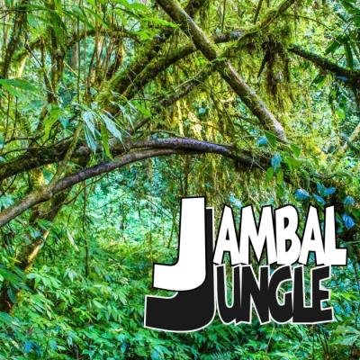 Dj Freccia - Jambal Jungle (2019)
