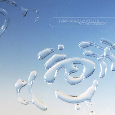 Perishing Thirst - Pilgrims of The Rinde (2019)