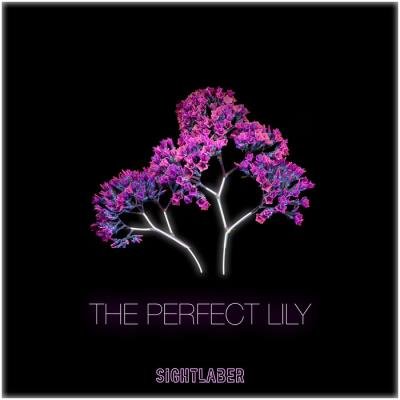 Sight Laber - The Perfect Lily (2019)