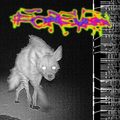 Haunter Records - forever (2019)