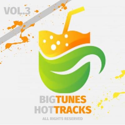 Big Tunes Hot Tracks, Vol. 3 (2019)