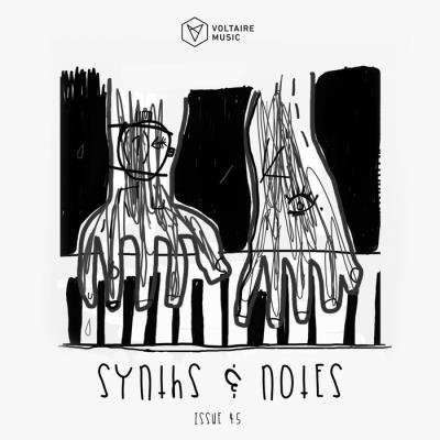 Synths and Notes 45 (2019)