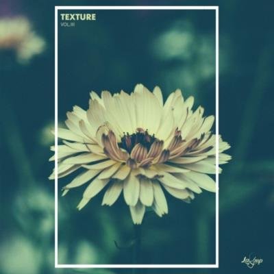 Texture Vol 3 (2019)