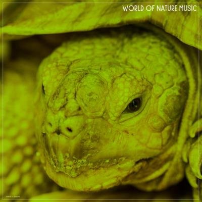 World Of Nature Music (2019)