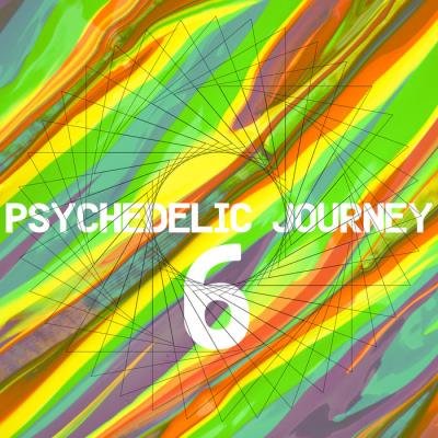 Psychedelic Journey 6 (2019)