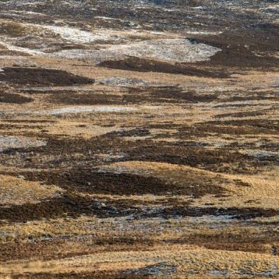 Orior - Still Strange (2019)