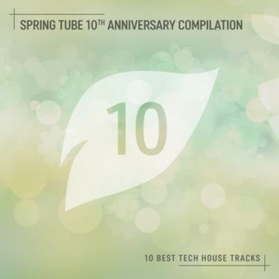 Spring Tube 10th Anniversary Compilation (10 Best Tech House Tracks) (2019)