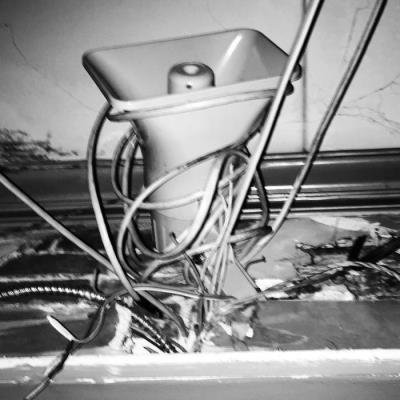 WOLF DEM - Chatter from a Dying Planet (2019)