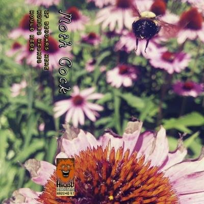 Moth Cock - If Beggars Were Horses Wishes Would Ride (2019)