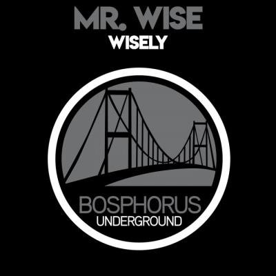 Mr. Wise - Wisely (2019)