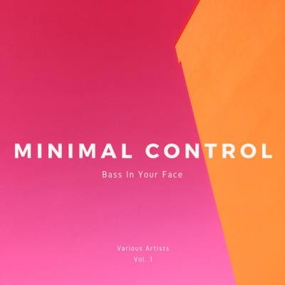 Minimal Control (Bass In Your Face), Vol. 1 (2019)