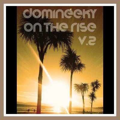 Domineeky - On The Rise V. 2 (2019)