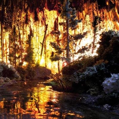 Freedom Engine - A Box Full Of Magic (2019)