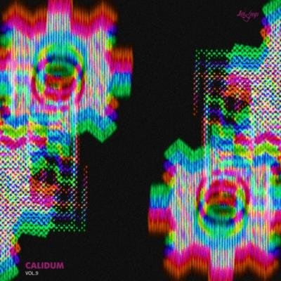 Calidum Vol 9 (2019)