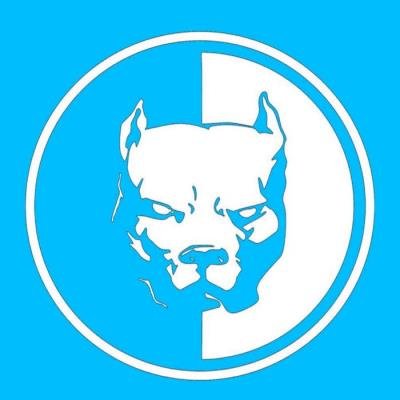 Best Of Indie Dance 2019 (2019)