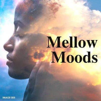 Tracy Bartelle - Mellow Moods (2020)