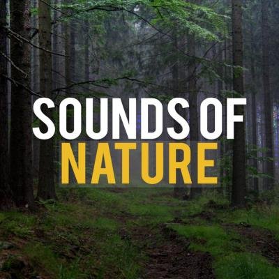 Sounds Of Nature - Sounds Of Nature (2020)
