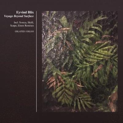 Eyvind Blix - Voyage Beyond Surface (2020)