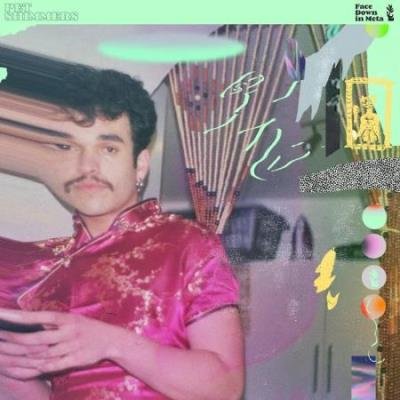 Pet Shimmers - Face Down in Meta (2020)