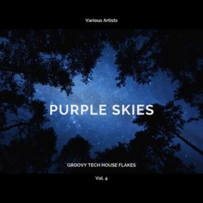 Purple Skies (Groovy Tech House Flakes), Vol. 4 (2020)