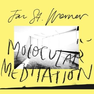 Jan St. Werner feat Mark E. Smith - Molocular Meditation (2020)