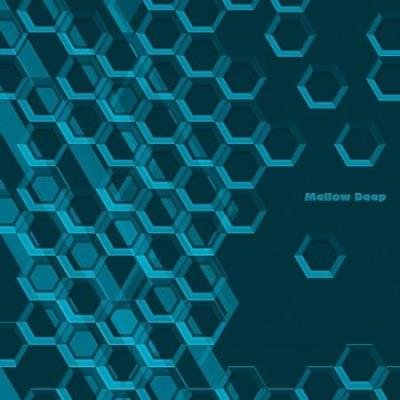 Le Bien Et Le Mal Recordings - Mellow Deep (2020)