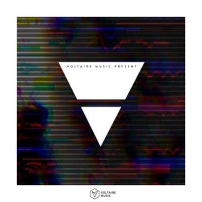 Voltaire Music Pres.: V (2020)