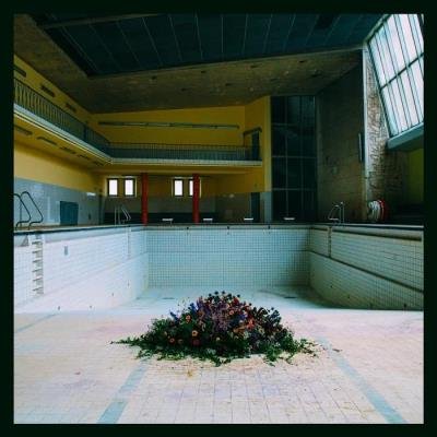 LYR - Call in the Crash Team (2020)