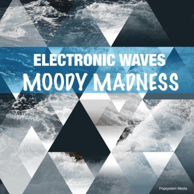 Electronic Waves Moody Madness (2020)