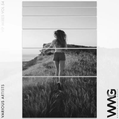 VIP Mixes, Vol. 54 (2020)