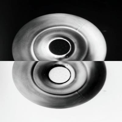 Shahead Mostafafar - Eximatter (2020)