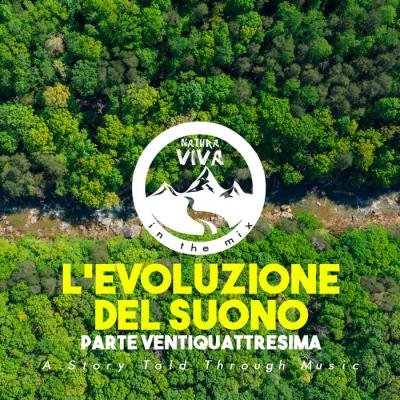 L'Evoluzione Del Suono (Parte Ventiquattresima) (2020)